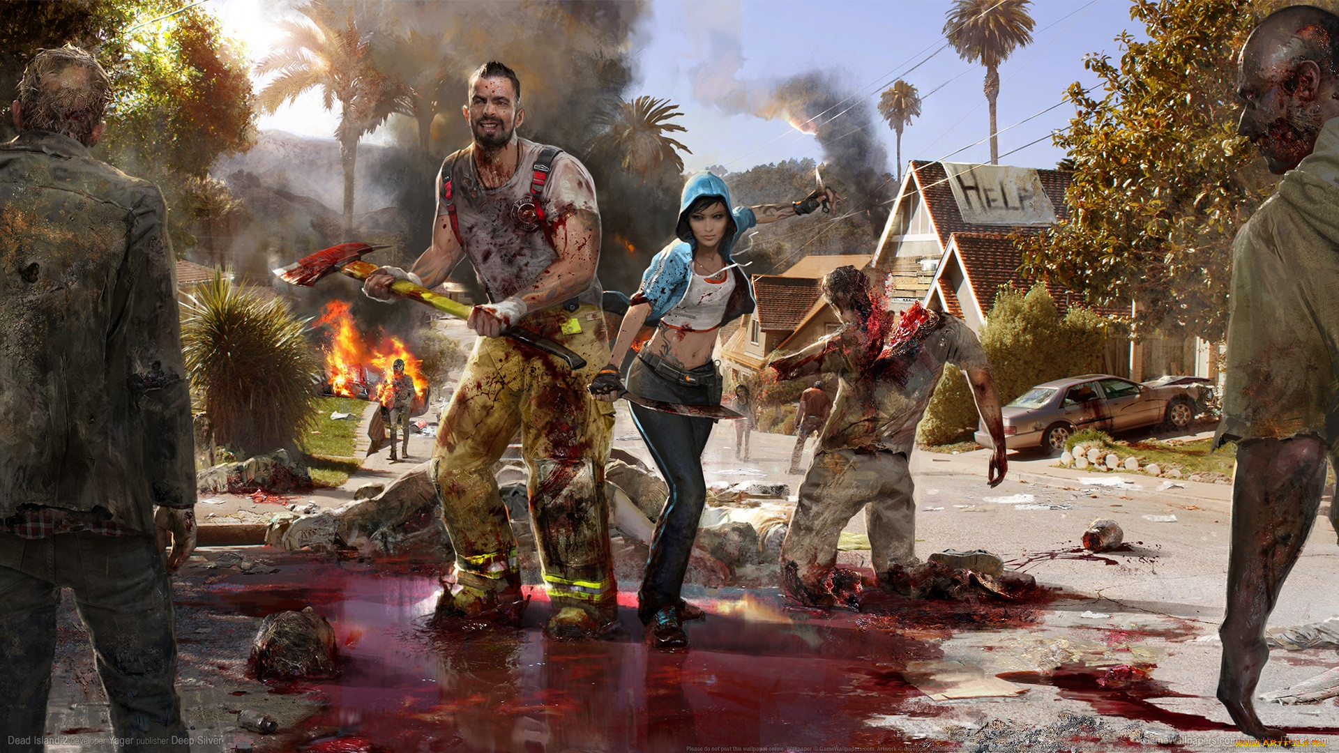  , dead island 2, island, , dead, , , 2, 